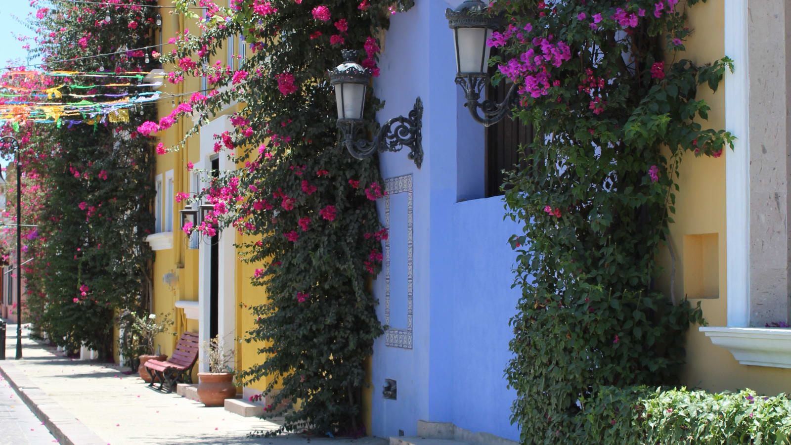 5-Hour Cabo San Lucas and San José del Cabo Tour with Tequila Tasting