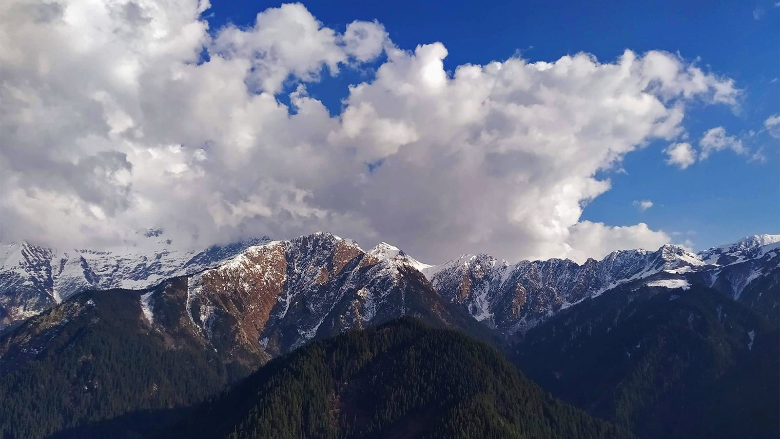 3-Day Shilt Hut Trek in GHNP from Gushaini with Birdwatching