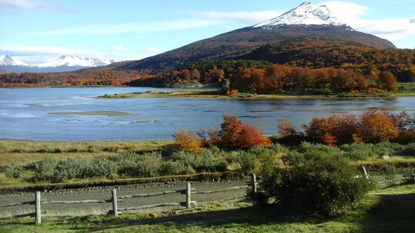 4-Hour Tierra del Fuego National Park Tour with Lago Roca Walk