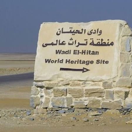 1-Day Faiyum Tour from Cairo with Wadi El Hitan and Wadi El Rayan