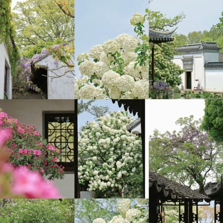 8-Hour Private Suzhou Day Trip from Shanghai with Canal Cruise