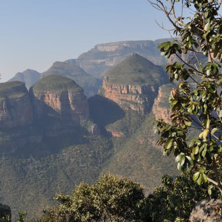 5-Day Kruger National Park Safari with Panorama Route Highlights
