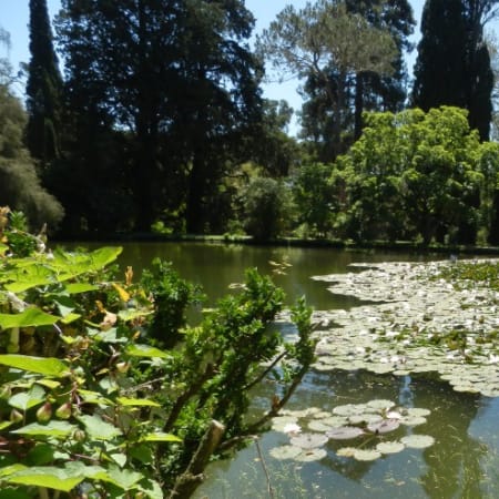 Full-Day Royal Palace of Caserta Tour with Bourbon Gardens