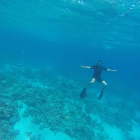 5-Hour Ras Mohamed Snorkelling Trip from Sharm El Sheikh