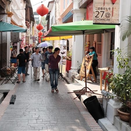 Full-Day Orang Utan Island and Ipoh Tour with Cave Temples
