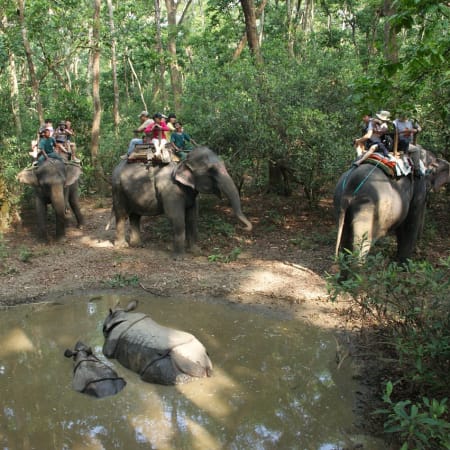 9-Day Nepal Cultural and Wildlife Tour from Gorakhpur to Lumbini