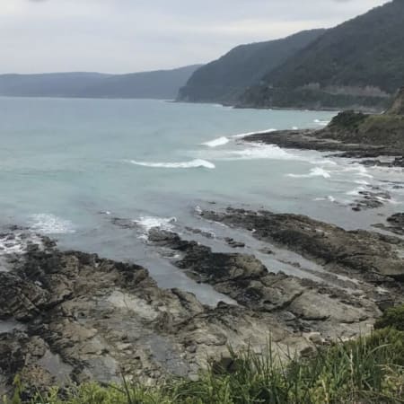 1-Day Great Ocean Road Tour to the 12 Apostles with Wild Koalas