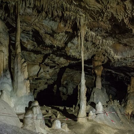 10-Hour Scărișoara Ice Cave Tour from Oradea through the Apuseni Mountains
