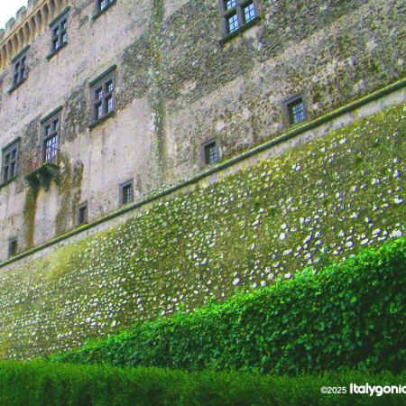 2-Hour Bracciano Walking Tour with Odescalchi Castle and Lake Views