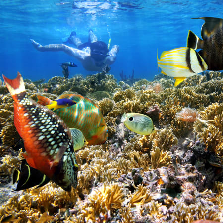 9-Hour Cartagena Rosario Islands Tour with Snorkelling and Cholon
