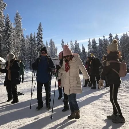 4-Day Rockies Snow Adventure to Lake Louise and Banff from Vancouver