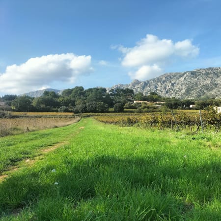7-Hour Provence Tour with Wine Tasting and Pétanque in a Hilltop Village