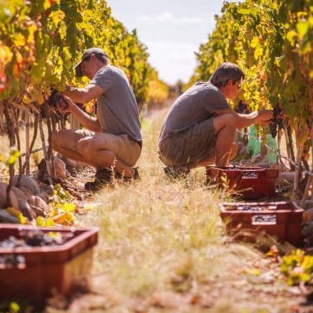 11-Day Argentina Wine and Sightseeing Tour with Salta and Mendoza