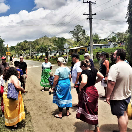 4-Hour Nadi Sightseeing Tour with Viseisei Village and Sabeto Option