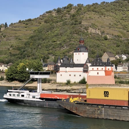 Full-Day Rhine Valley Tour from Frankfurt with Cruise and Bacharach