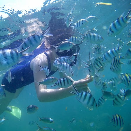 6-Hour White Sand Island Tour in Bintan with Snorkeling and Kayaking