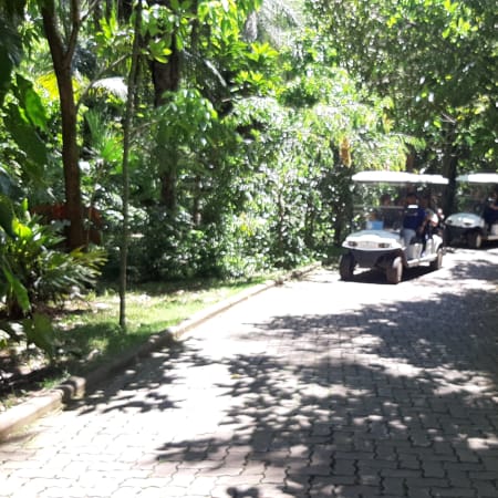 1 Dia de Visita ao Instituto Inhotim com Arte e Jardim Botânico
