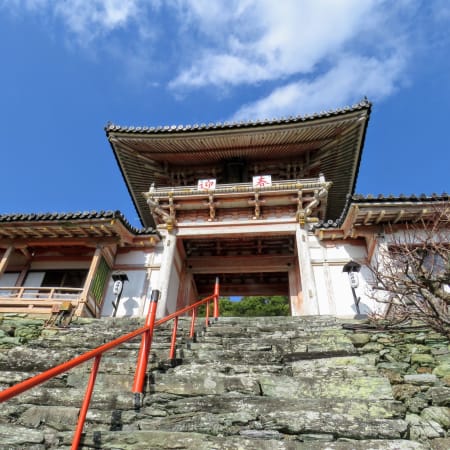 1-Day Wakayama City Tour with Castle, Kuroshio Market and Gardens
