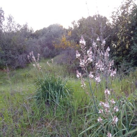 8-Hour Kellaki Village Tour from Limassol with Lefkara Crafts