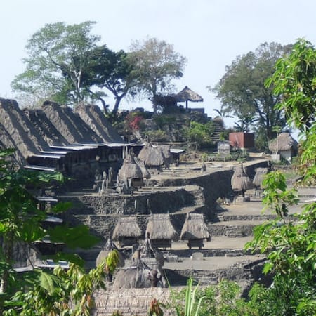 7-Day Flores Island Tour from Denpasar with Kelimutu and Maumere