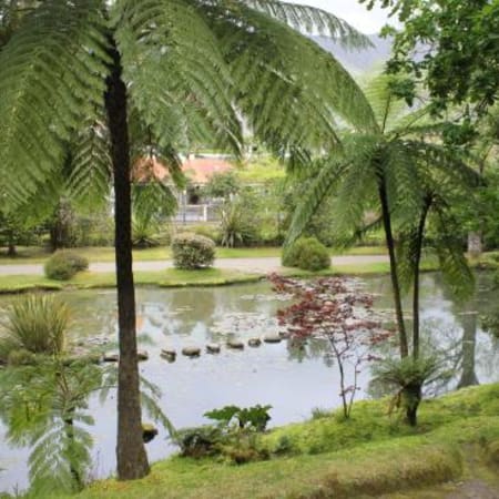 Full-Day Furnas Valley Tour in São Miguel with Tea Plantation Visit