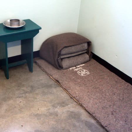 5-Hour Robben Island Tour from Cape Town with V&A Waterfront