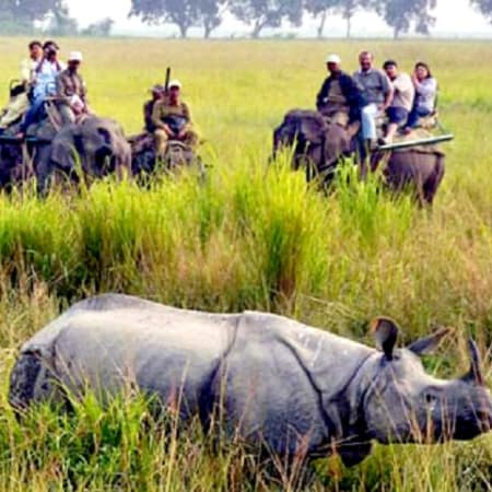 3-Day Nambor Wildlife Safari in Assam with Karbi Tribal Culture