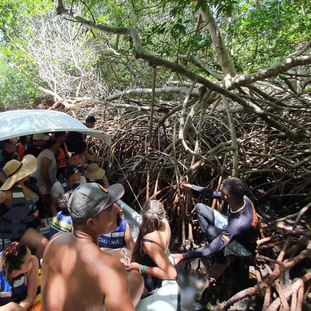 Tour de 8 horas por Barú con manglares, snorkel y Playa Blanca