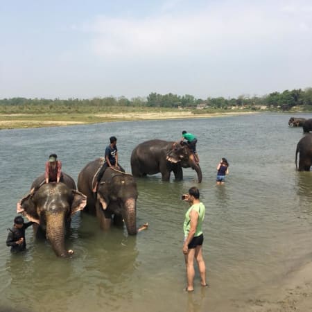 10-Day Nepal Cultural and Wildlife Tour with Chitwan and Pokhara