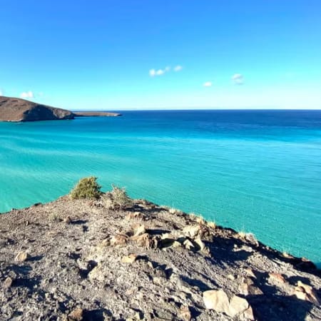 7-Hour Espíritu Santo Island Tour from La Paz with Sea Lions and Lunch