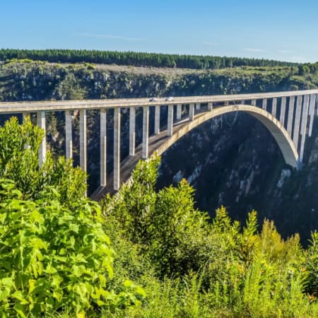 6-Day Garden Route Tour from Cape Town to Gqeberha with Knysna