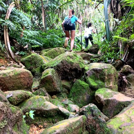10-Hour Mount Halimun Salak National Park Trek from Bogor