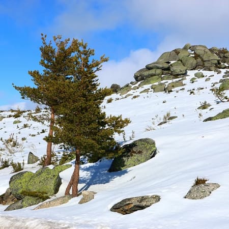 Excursão de 8 Horas na Serra da Estrela com Experiências na Neve