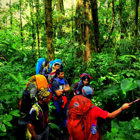 2-Day Mount Kerinci Trekking Tour with Crater Views and Wildlife
