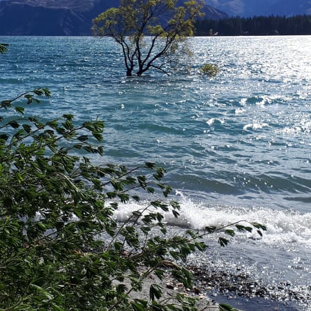 12-Day South Island New Zealand Tour with Milford Sound Cruise