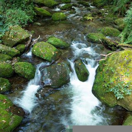 7-Day Darjeeling Hiking Trip to Sandakphu and Phalut