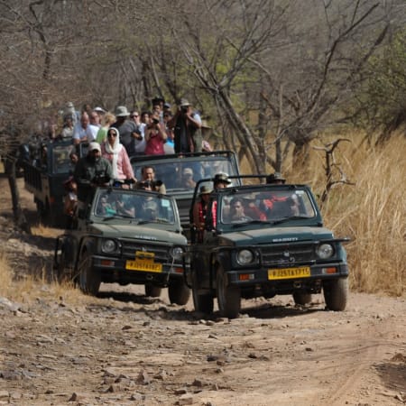 5-Day Kanha and Tamia Wildlife Tour with Tribal Village Experiences