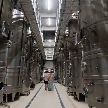 8-Hour Avignon and Chateauneuf du Pape Wine Tour from Aix-en-Provence