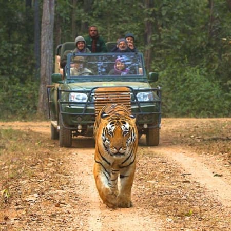 2-Day Kanha Photo Safari Tour with Exclusive Jeep Wildlife Shoots