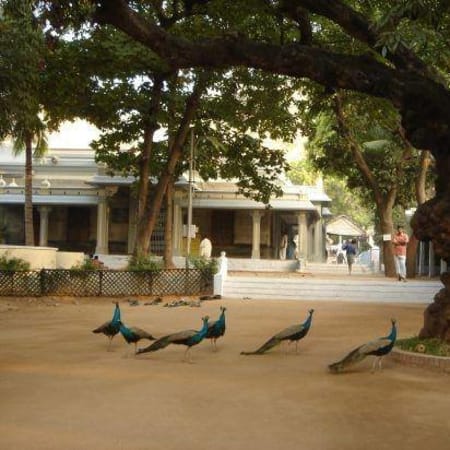 12-Hour Spiritual Temple Tour from Chennai to Pondicherry via Kanchipuram