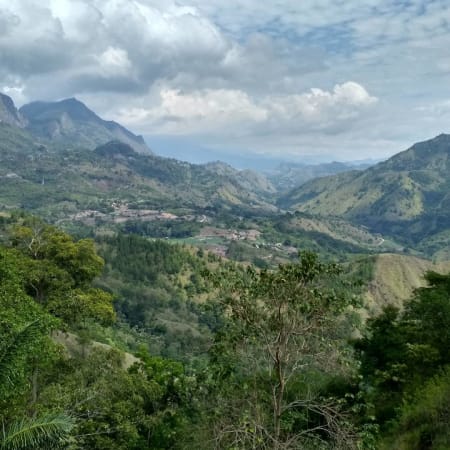 4 jours aux pays Toraja avec rites funéraires et villages traditionnels