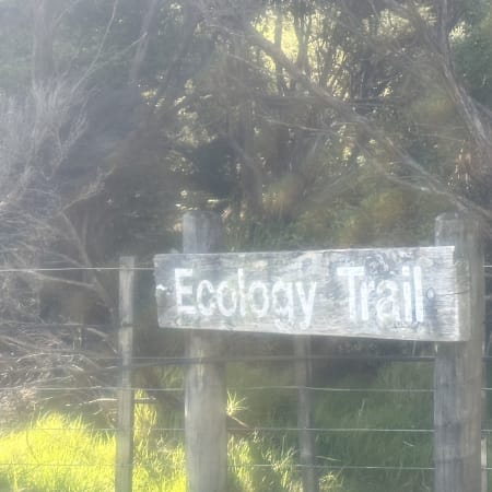 7-Hour Private Auckland East Coast Walk and Wine Tour via Matakana