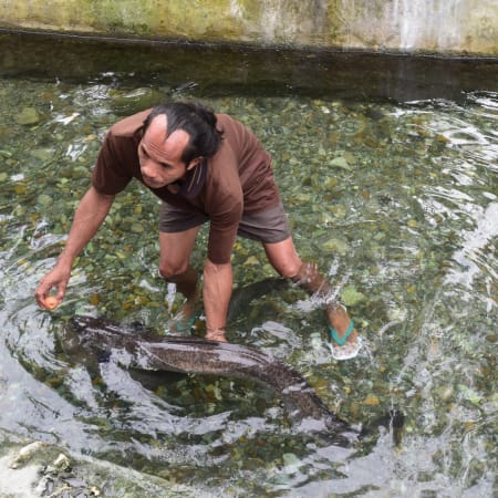 5-Hour East Ambon Beach Tour with Waai Giant Eels and Natsepa Snack