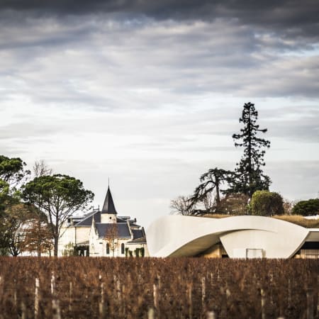 8-Hour Saint-Émilion History and Wine Tour from Bordeaux