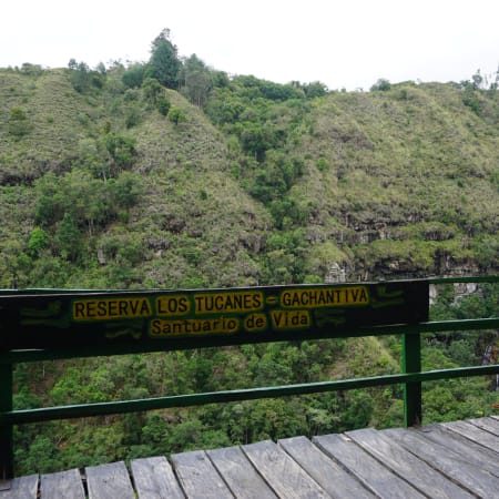 Tour de 3 horas a Los Tucanes con cascadas y senderos ecológicos