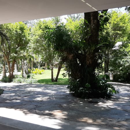1 Dia de Visita ao Instituto Inhotim com Arte e Jardim Botânico