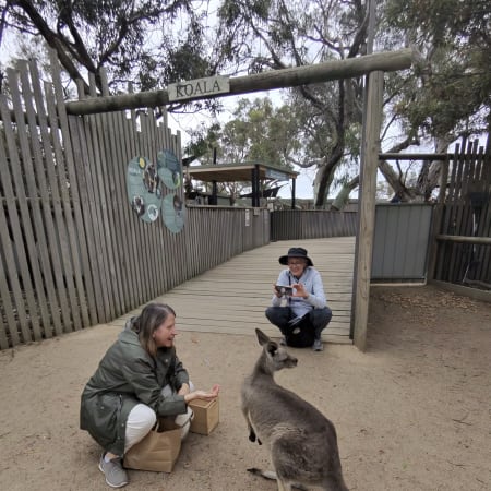 8-Hour Wildlife and Winery Tour from Melbourne with Coastal Drive