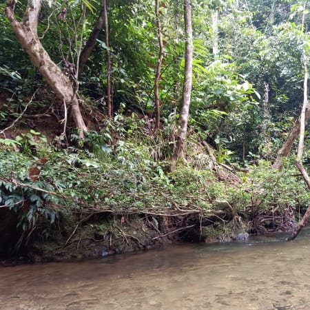4-Day Jungle Trekking Tour from Wahau to Berau with Wehea Culture