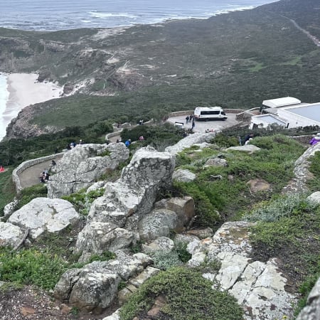 8-Hour Cape Peninsula Tour with Penguins and Chapman's Peak