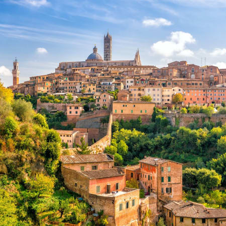 2-Hour Siena Private Walking Tour with a Local